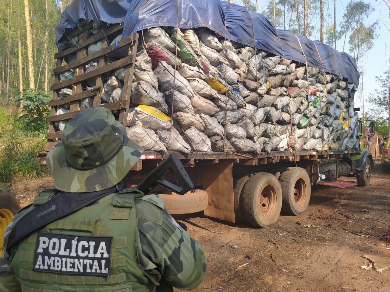 Foto: Divulgação/Polícia