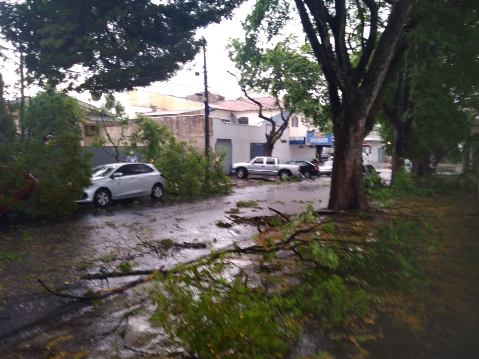 Foto enviada pelo ouvinte Rogério Gonçalves