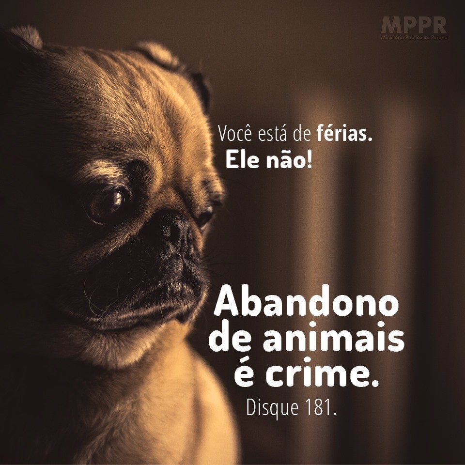 reprodução/Facebook MPPR