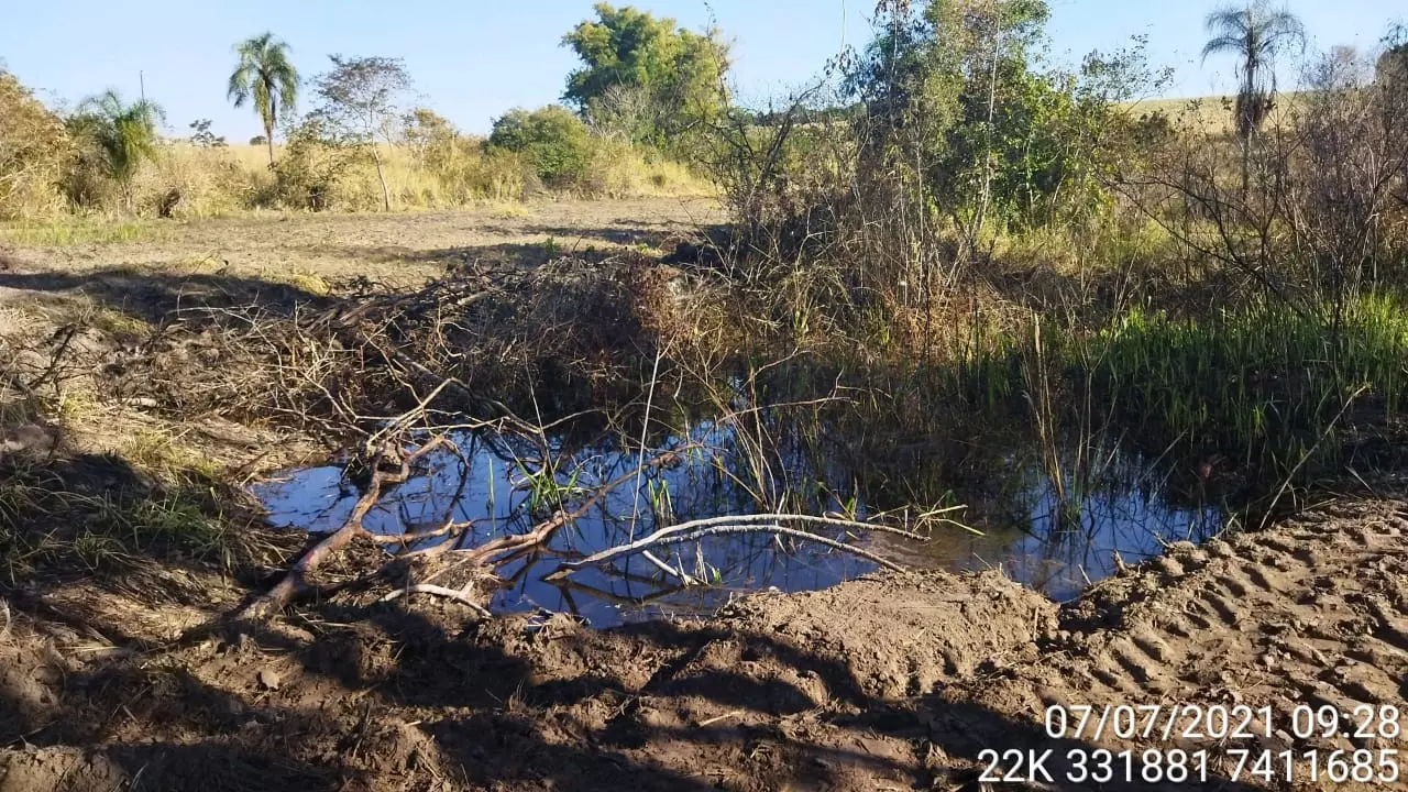 Foto: Polícia Ambiental