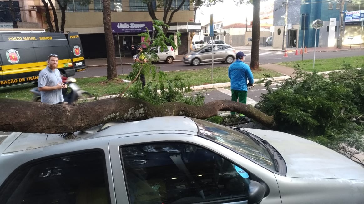 Galho cai sobre veículo em Maringá