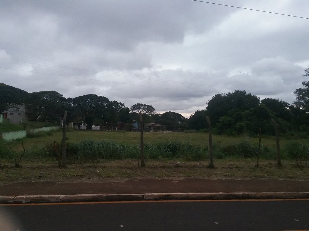 Terreno localizado na Rua Buenos Aires, na Vila Morangueira, em Maringá. Foto: Divulgação