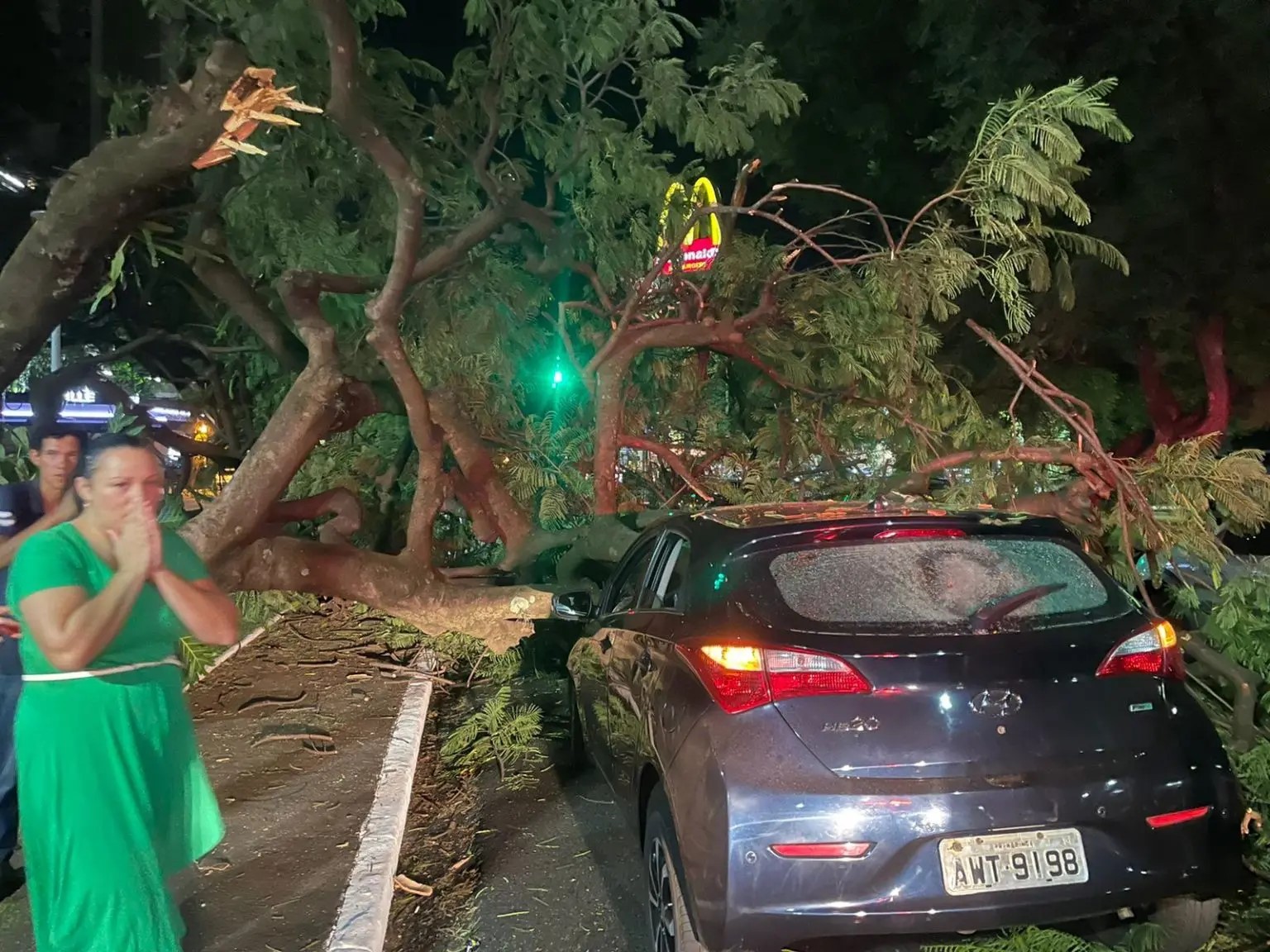 HB20 atingido por uma árvore na avenida Tiradentes. Foto: Siate