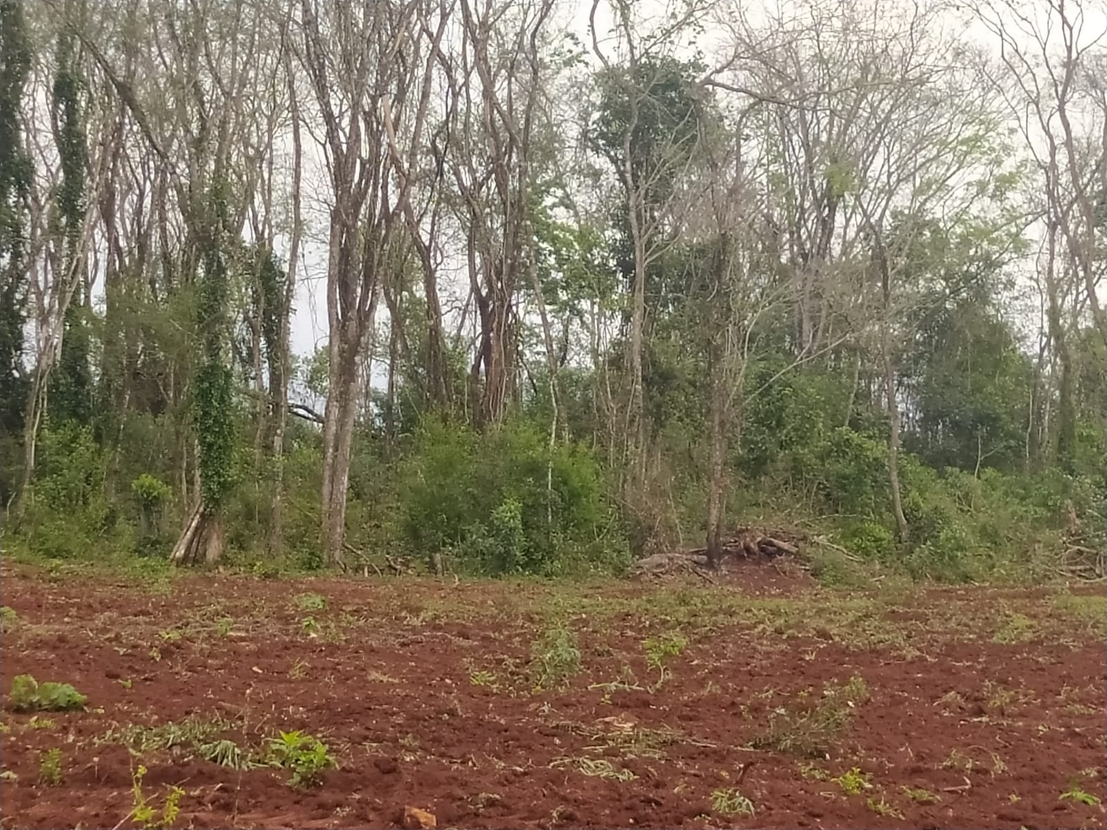 Polícia Militar Ambiental