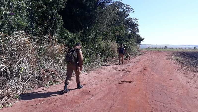 Policiais usando cães farejadores para tentar localizar pistas do casal Foto: Divulgação PM