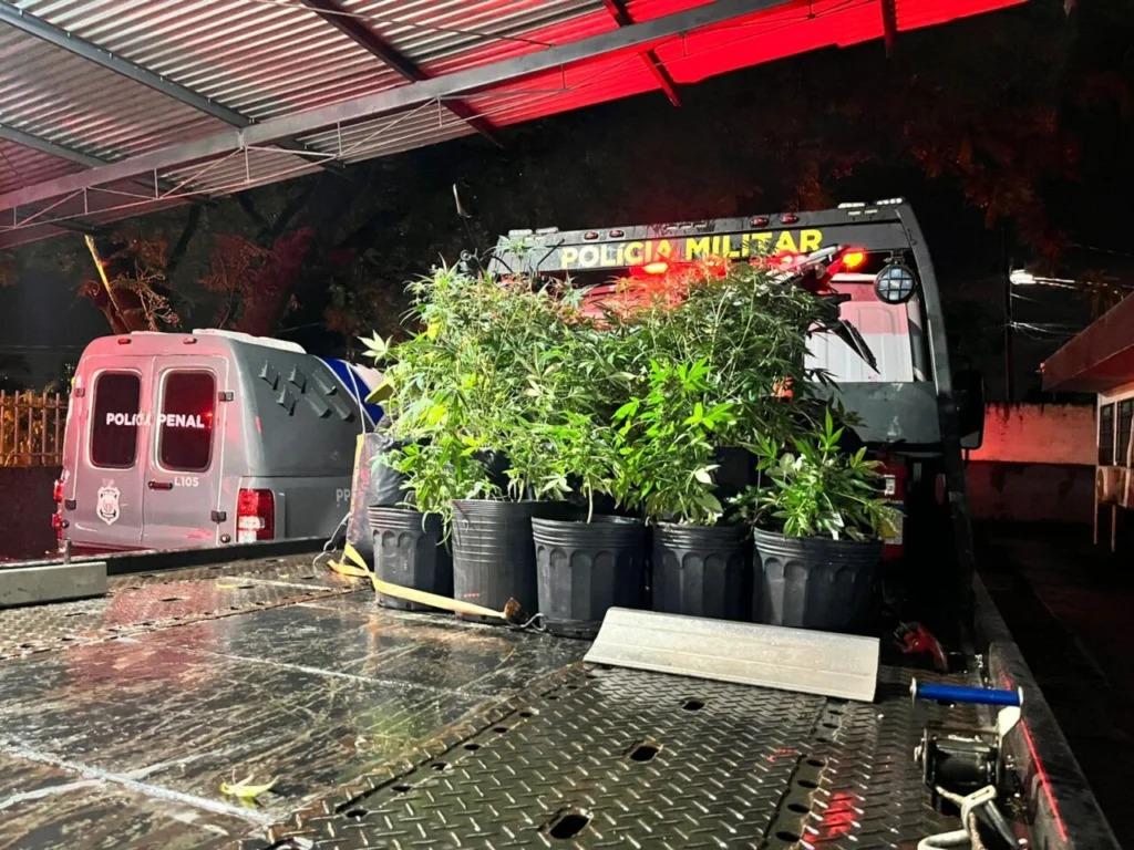 Foto: Wallaf Borges | Colaboração