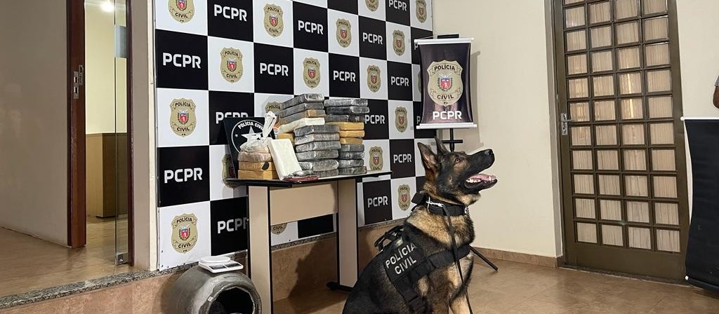 Denarc apreende 22 kg de cocaína e prende 4 pessoas em operação