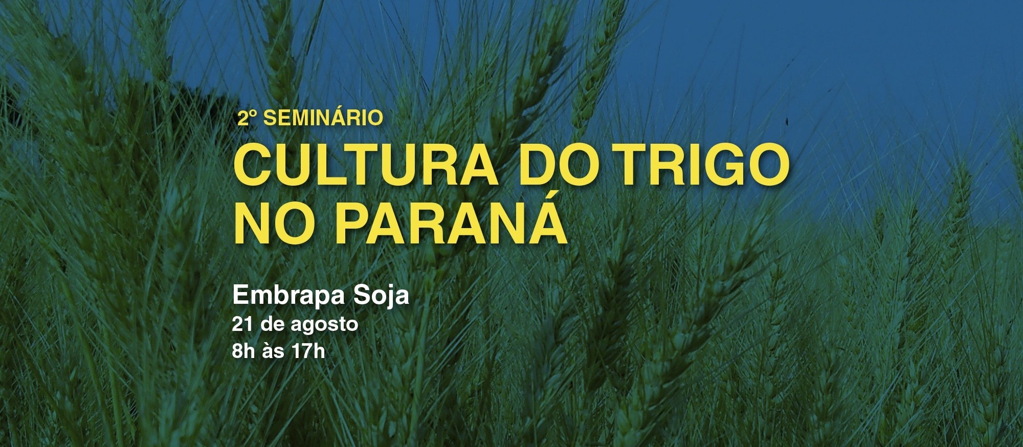 2º Seminário da Cultura do Trigo no Paraná será dia 21 de agosto, em Londrina