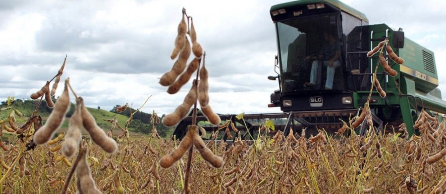 Saca da soja custa R$ 68 em Maringá