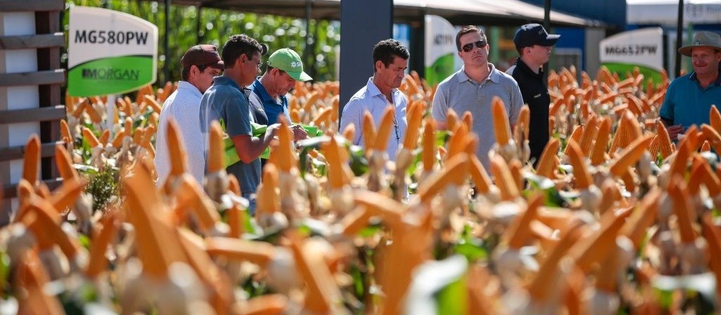 Participação de produtores do Show Rural em Cascavel é alta