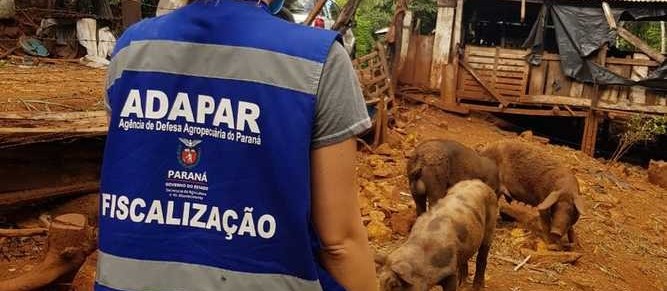 Adapar mantém ritmo para garantir status sanitário e alimentos