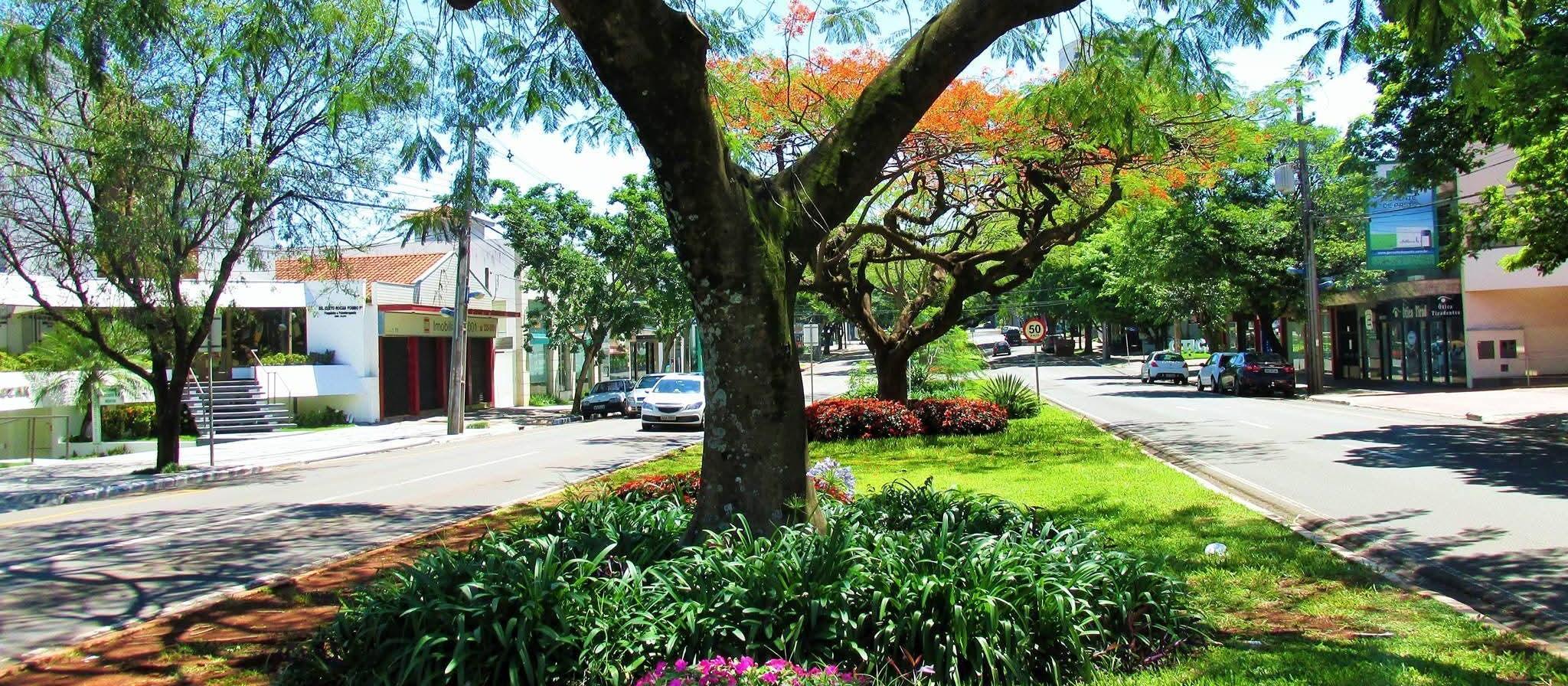 Maringá terá tempo firme e máxima de 29° C nesta quinta (23); confira previsão