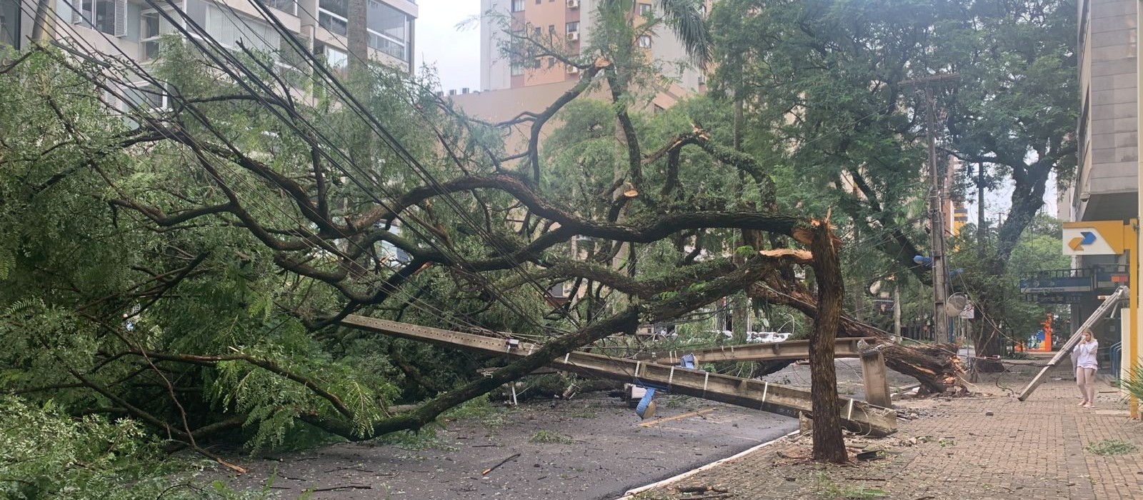 Defesa Civil registra mais de 500 chamados por causa da chuva