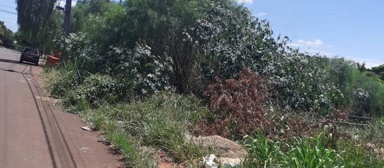 Ouvintes reclamam de mato alto em calçadas de bairros de Maringá