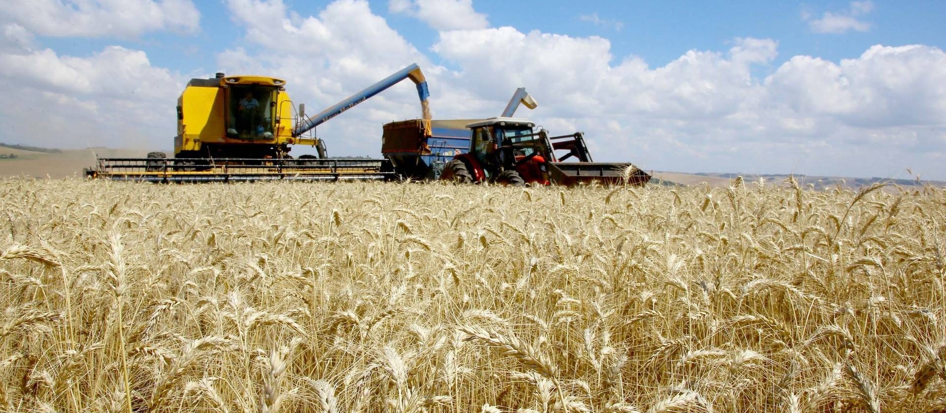 Agricultura de precisão: a importância da tecnologia no meio rural