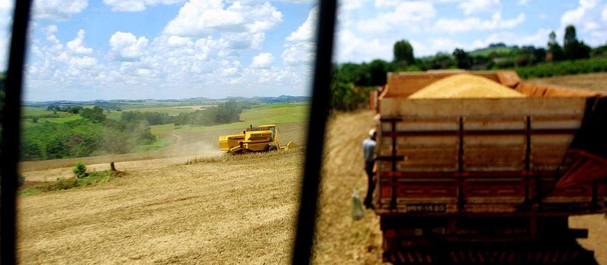 Soja custa R$ 82 em Maringá