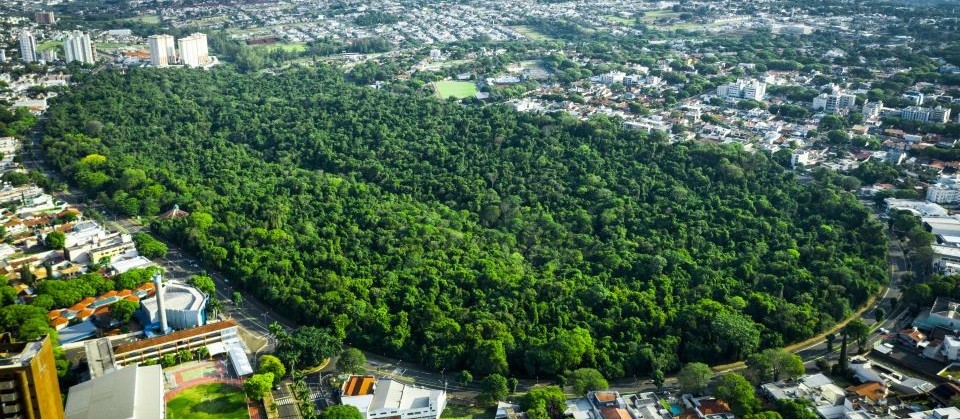 Prazo para solicitação do IPTU Verde segue até dia 30