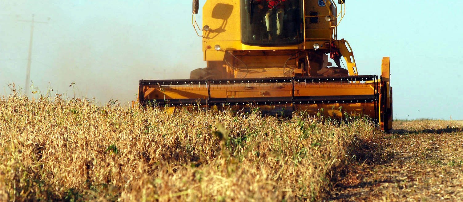 Safra da soja do Paraná deve alcançar 16,25 milhões de toneladas, projeta Deral