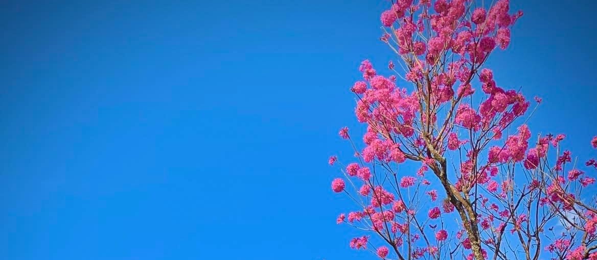 Maringá segue com tempo estável e altas temperaturas nesta sexta-feira (22)