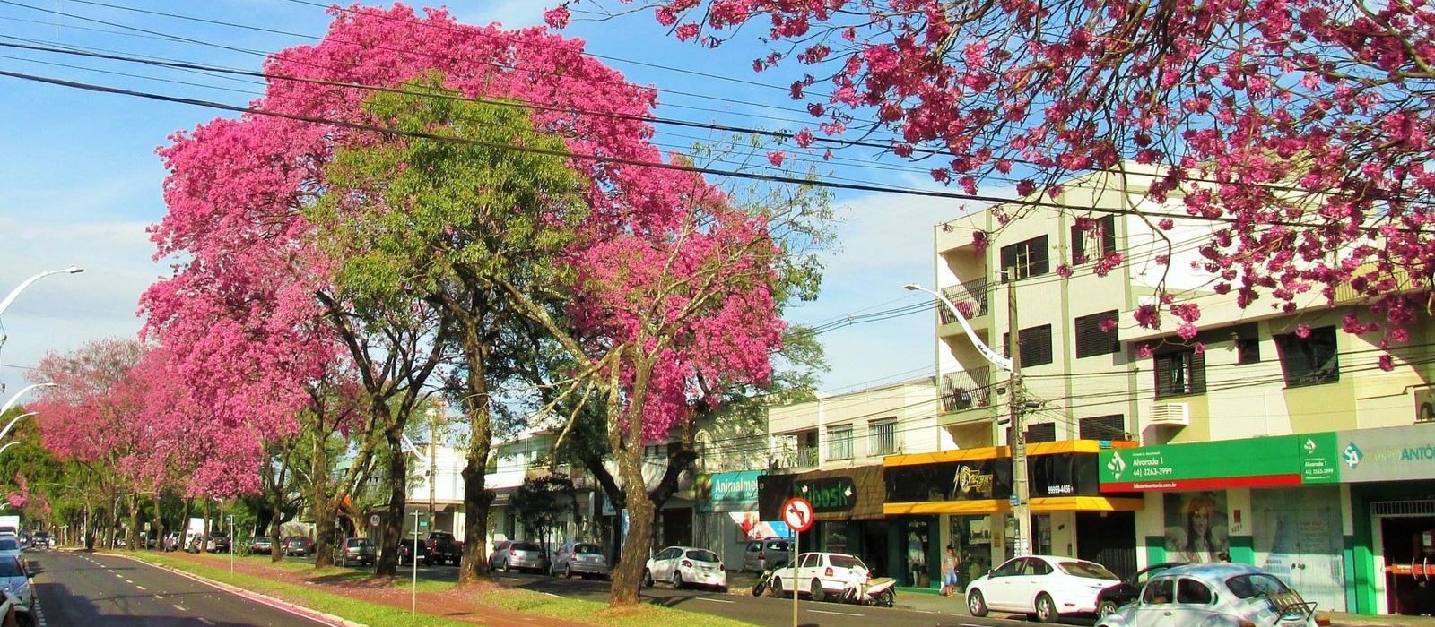 Temperaturas voltam a subir e Maringá tem máxima de 22°C nesta sexta-feira (12)