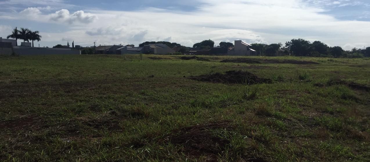 Terrenos em frente ao futuro Parque de TI estão à venda