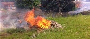 Incêndio em vegetação aumentou 46% em 2018 em Maringá