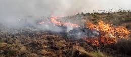 Bombeiros combatem incêndio às margens da BR-376