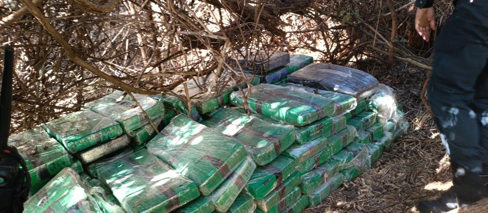 Mais de uma tonelada de maconha é apreendida em ilha na região