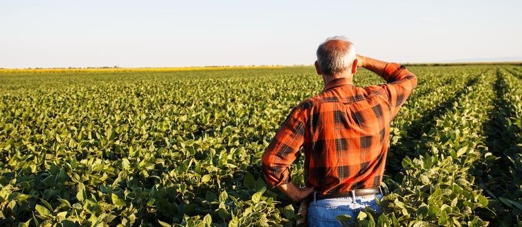 Pequena propriedade rural não pode ser penhorada para quitar dívidas, diz STF