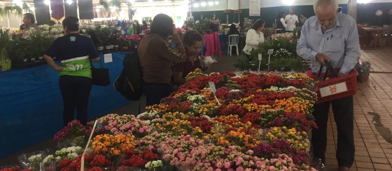 Maringaenses não resistem a Expoflor