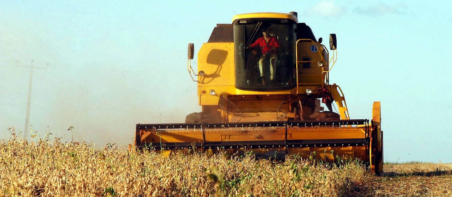 Colheita da soja chega a 40% da área na região de Maringá