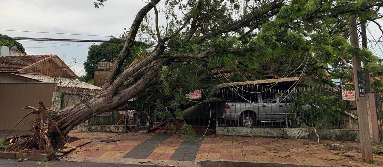 Chuva deixa 10 mil consumidores sem energia em Maringá