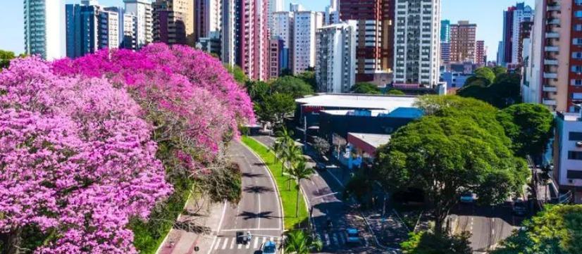 Domingo (28) com previsão de chuva para Maringá