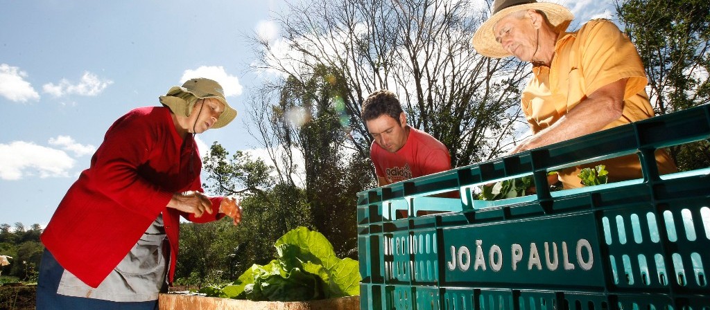 Por que a agricultura familiar é tão importante? 