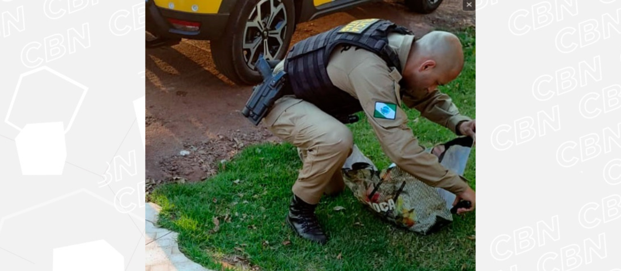 Recém-nascido é encontrado abandonado em Campo Mourão