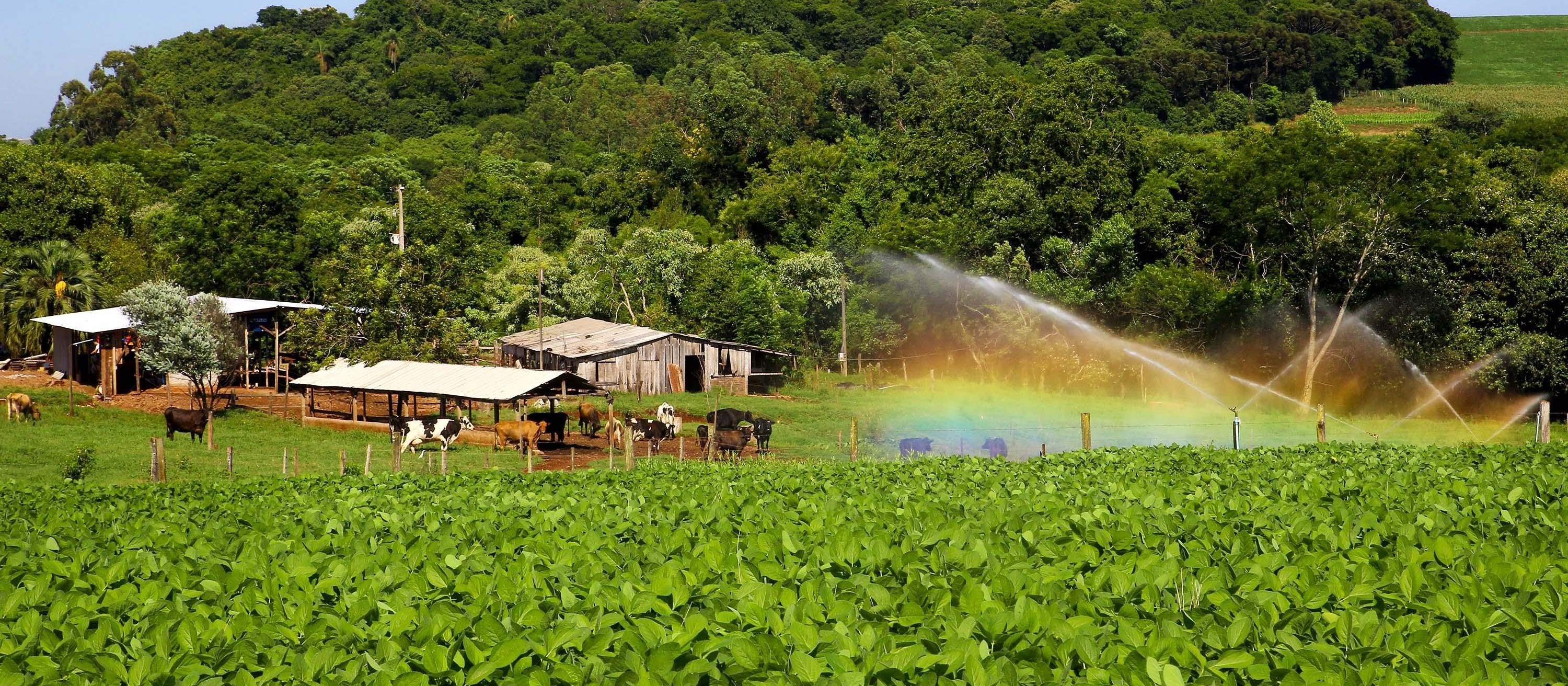 Governo do Paraná publica edital para seleção de RPPN