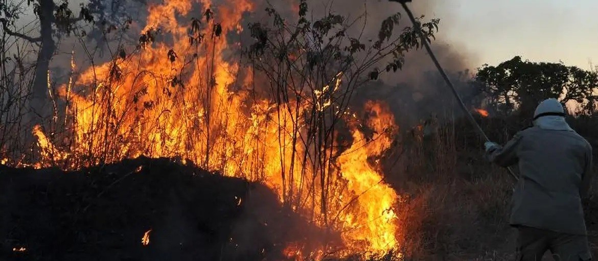 Quatro bombeiros de Maringá vão atuar em MS no combate a incêndios