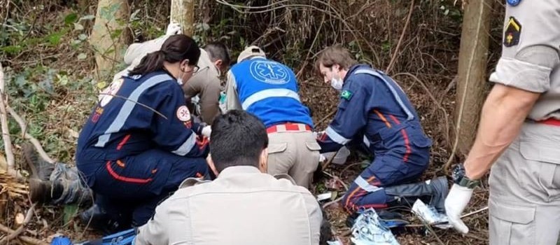 Trabalhador morre após ser atingido por galho de árvore