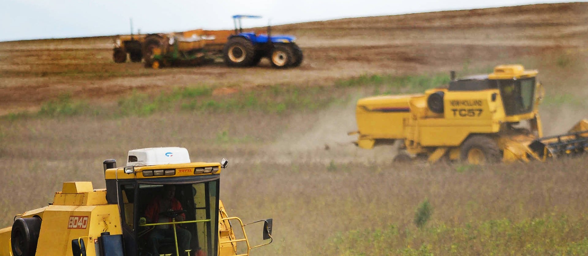 Paraná já colheu 98% da área de soja