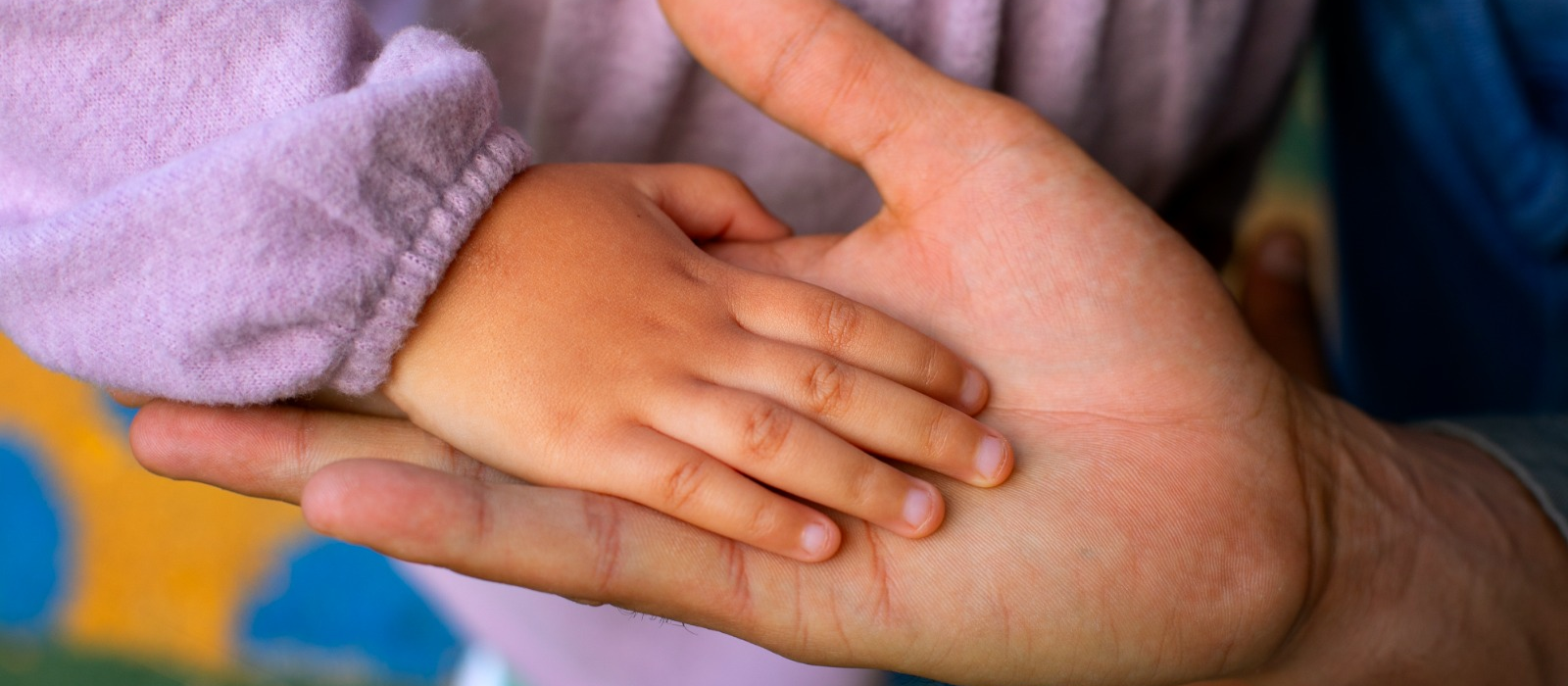 Maringá está com seleção aberta para famílias acolhedoras