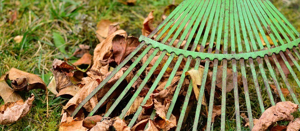 Moradores se mobilizam para limpar terreno e transformá-lo em parque