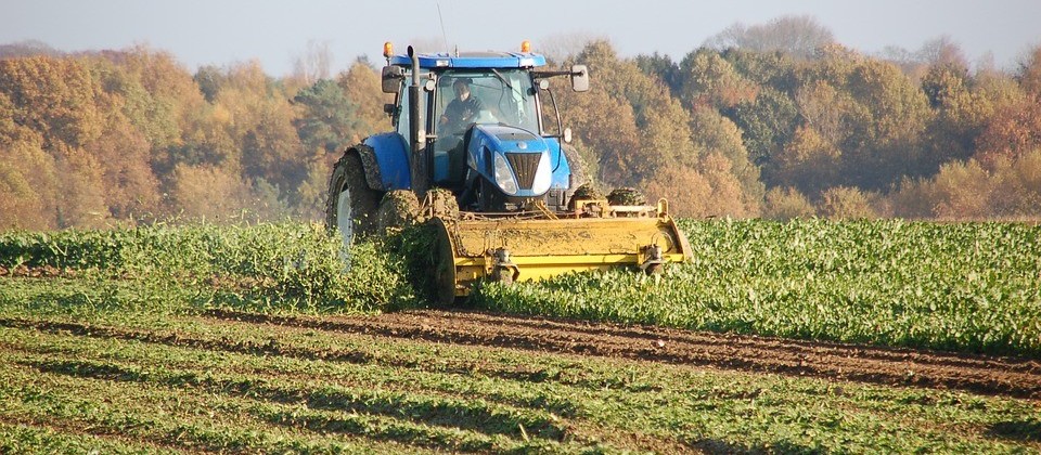 25% da área da soja já foi colhida na região de Maringá