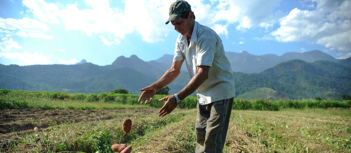 Aposentadoria rural tem regras específicas para quem trabalha no campo