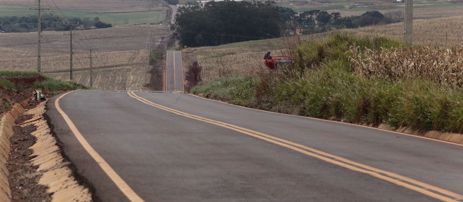 Paisagismo em antiga estrada de Maringá estimula o turismo rural