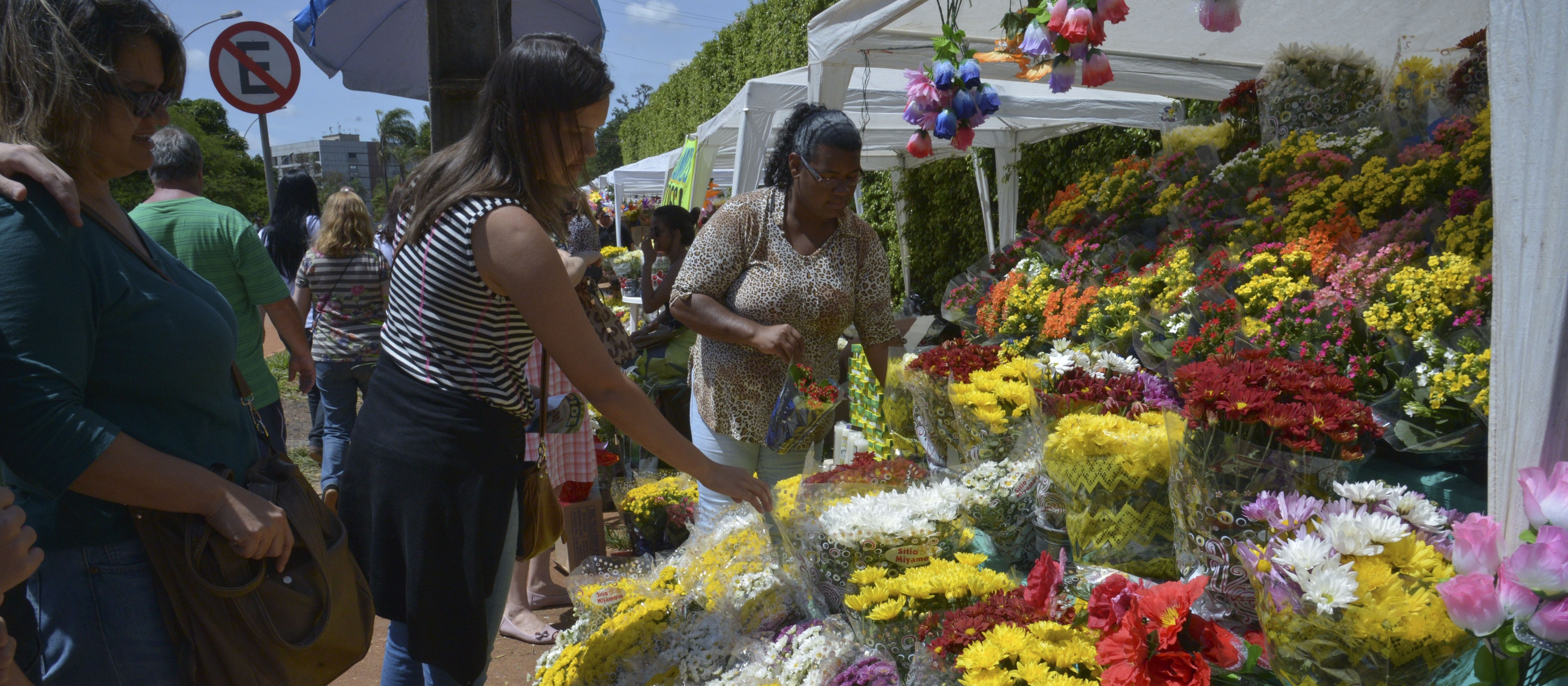 Primeiro Dia de Finados do período pós pandemia deve apresentar aumento nas vendas de flores 