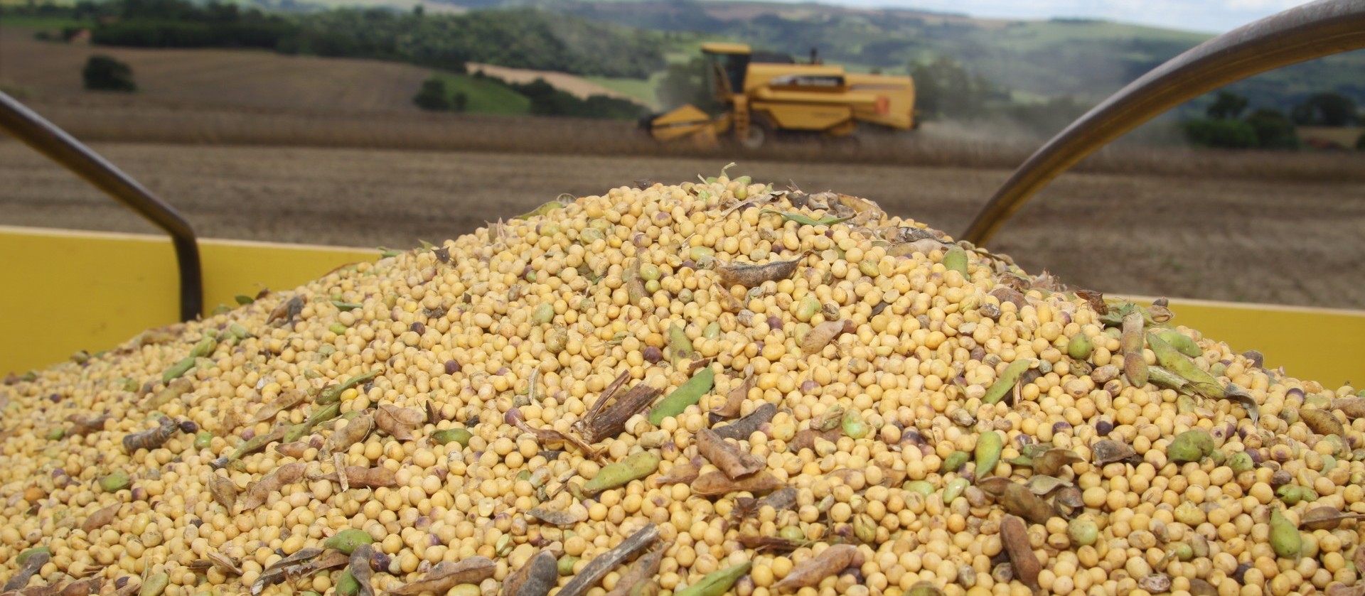 90% da soja da safra passada foi comercializada