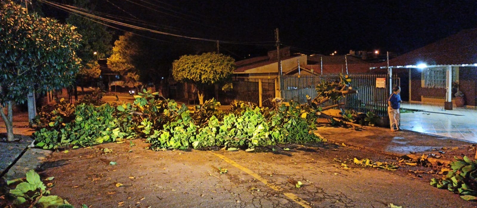 Temporal provoca queda de árvores e destelhamento em Apucarana