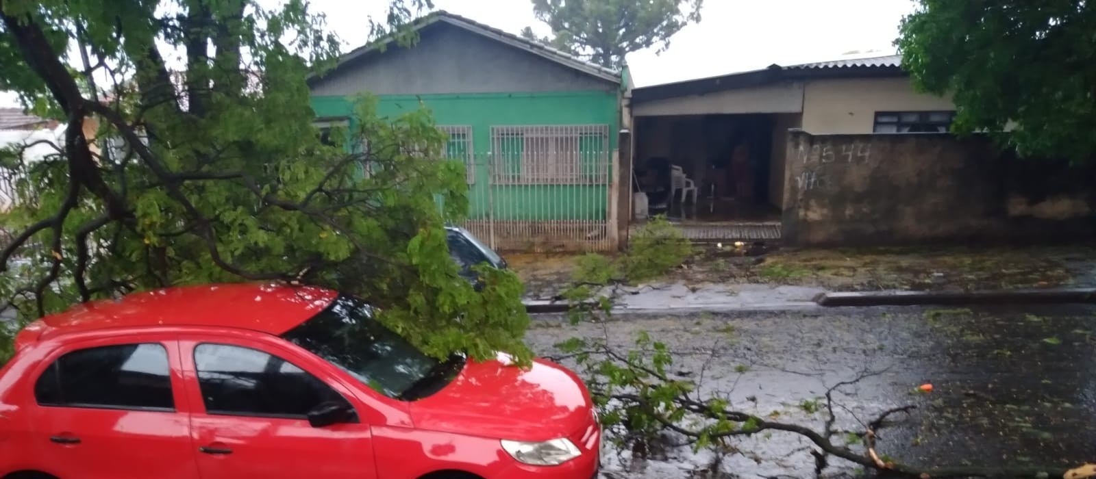 Temporal derrubou 119 árvores em Maringá