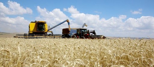 Coronavírus não deve prejudicar fortemente o desempenho do PIB do agronegócio