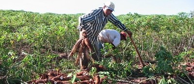 Chuva diminui, mas ainda prejudica os trabalhos no campo